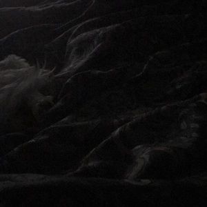 Meet your Posher, Billy